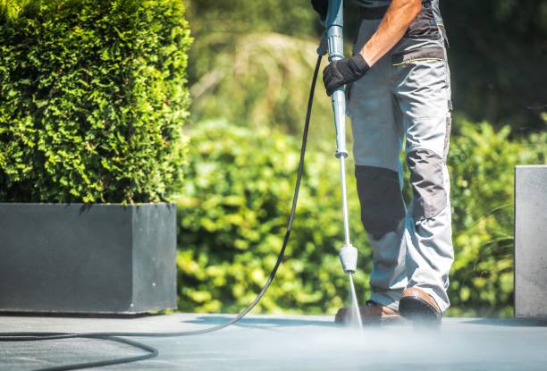 Pre-Holiday Cleaning in Monmouth, IL
